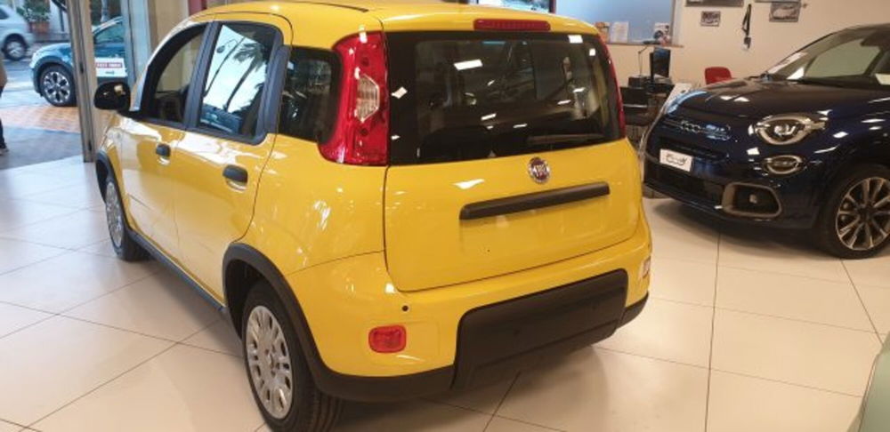 Fiat Panda nuova a Imperia (6)