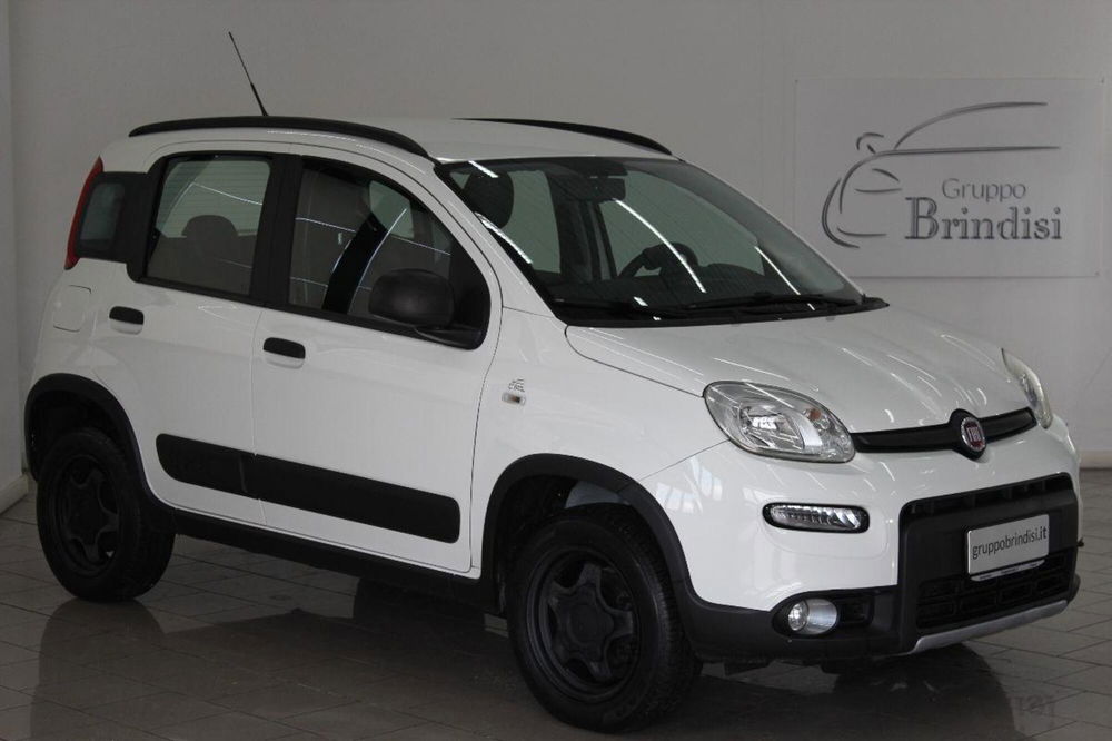 Fiat Panda usata a Potenza