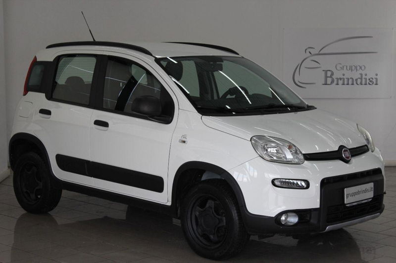 Fiat Panda 0.9 TwinAir Turbo S&amp;S 4x4 Wild del 2017 usata a Potenza