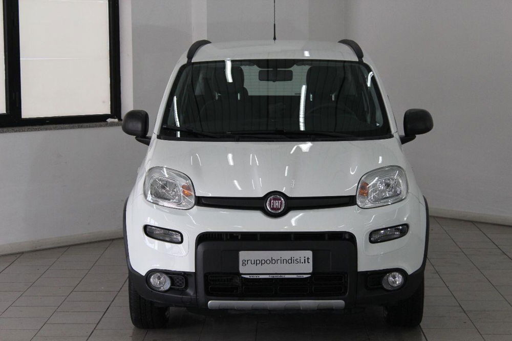 Fiat Panda usata a Potenza (2)