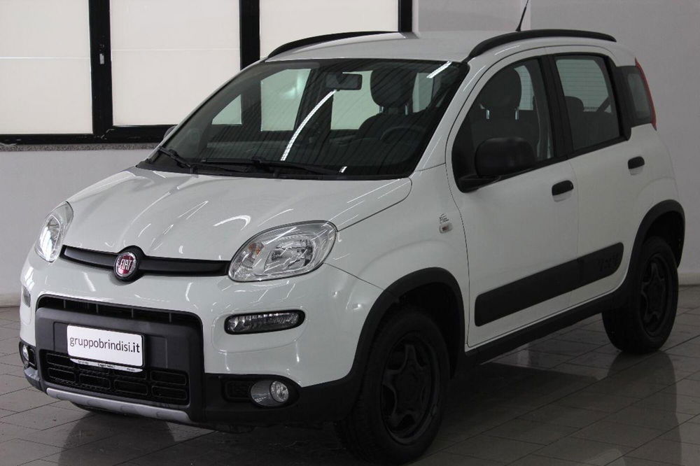 Fiat Panda usata a Potenza (3)