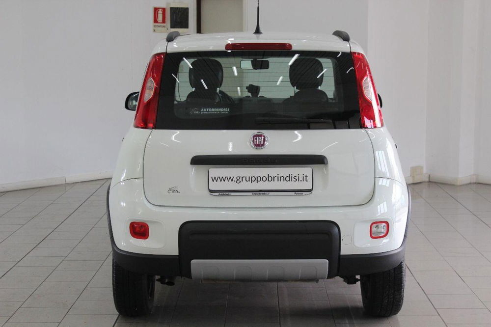 Fiat Panda usata a Potenza (5)