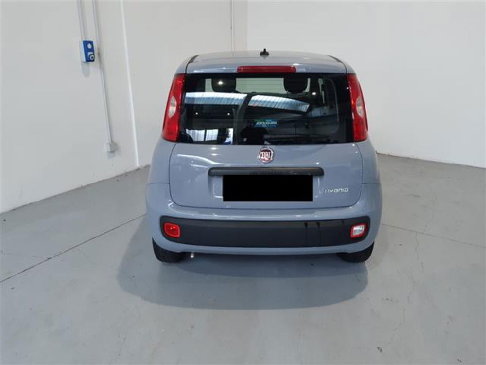 Fiat Panda usata a Asti (2)