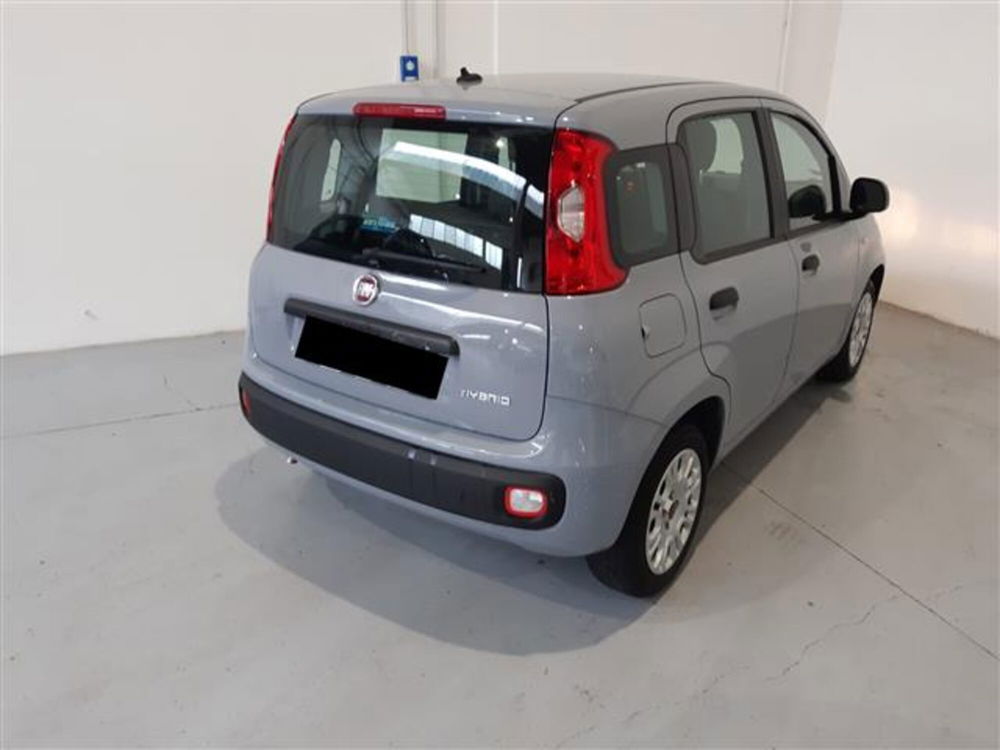 Fiat Panda usata a Asti (3)