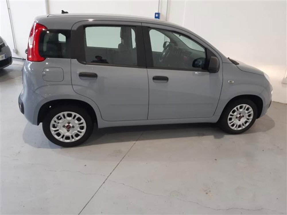 Fiat Panda usata a Asti (4)