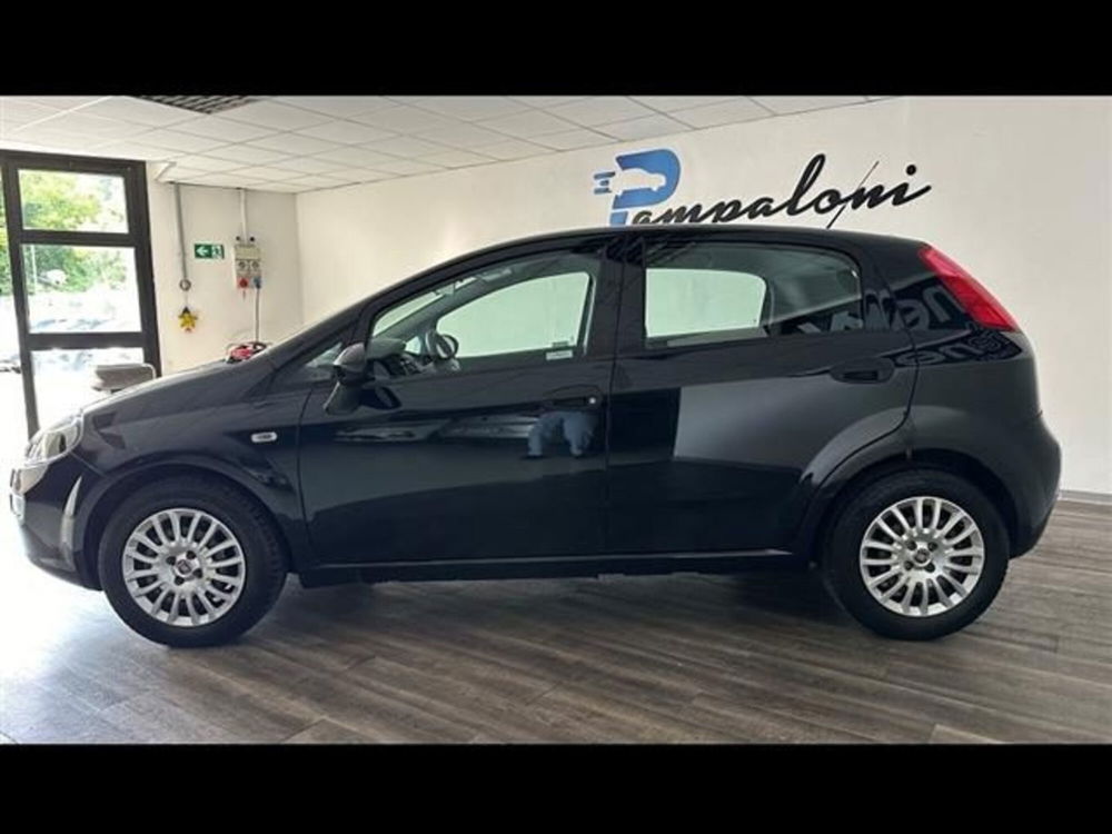 Fiat Punto usata a Siena (3)