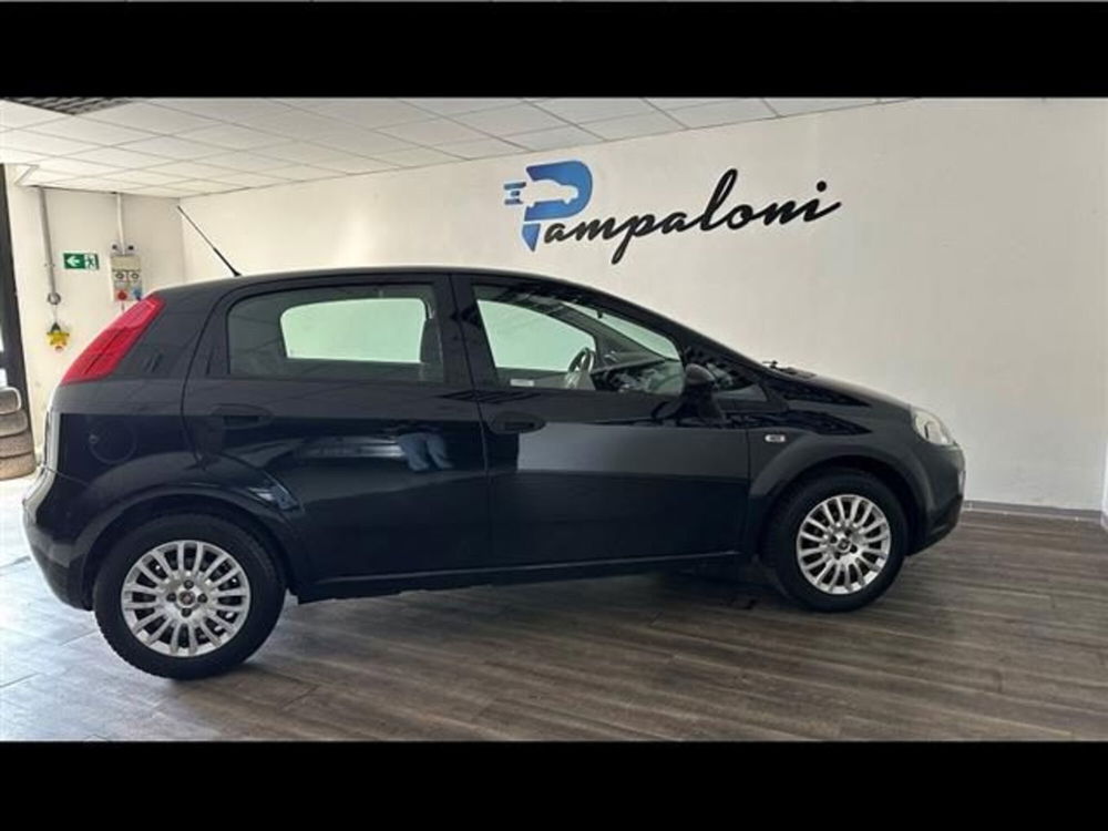 Fiat Punto usata a Siena (9)