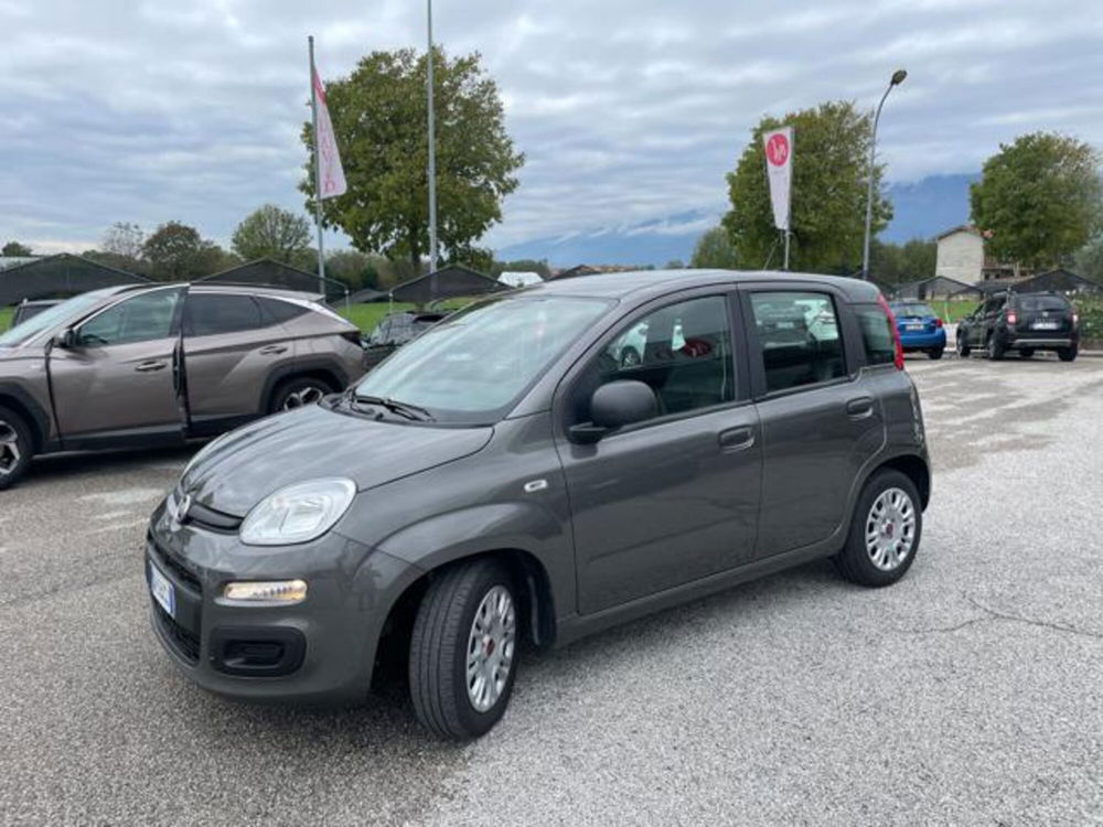 Fiat Panda usata a Pordenone (2)