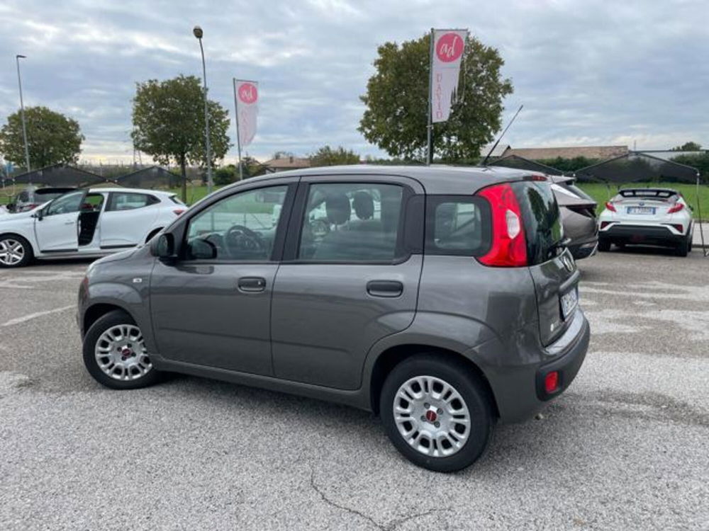 Fiat Panda usata a Pordenone (3)