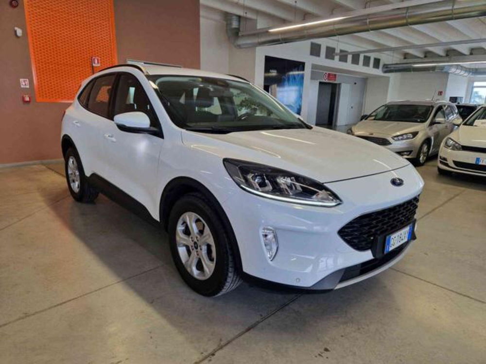 Ford Kuga usata a Bologna (3)