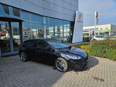 Ford Focus 1.5 EcoBlue 120 CV automatico 5p. ST-Line Co-Pilot  del 2019 usata a Legnago