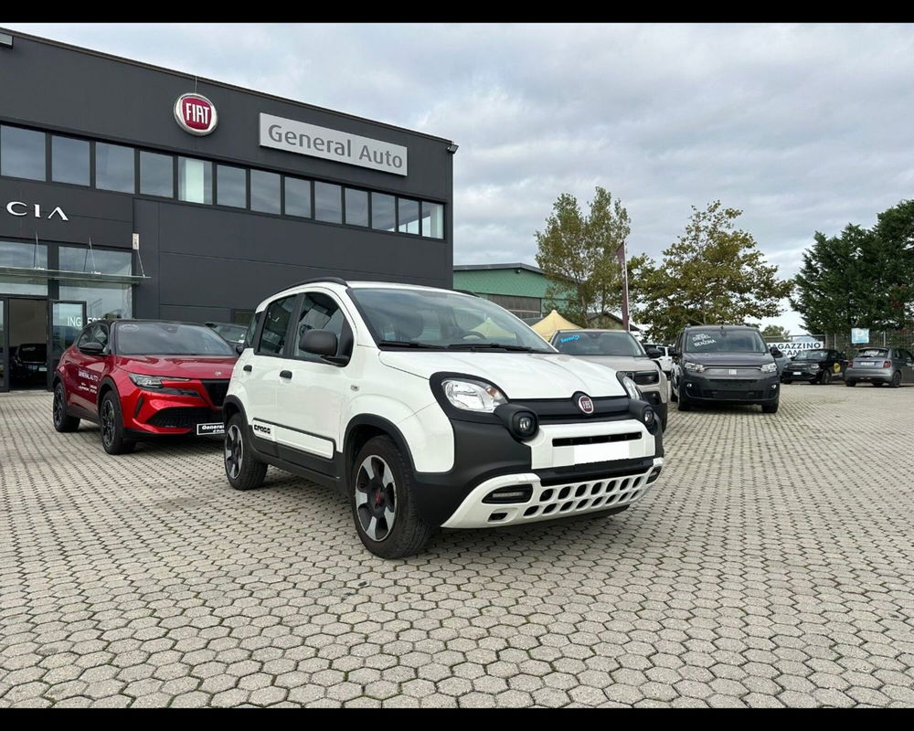 Fiat Panda usata a Lucca