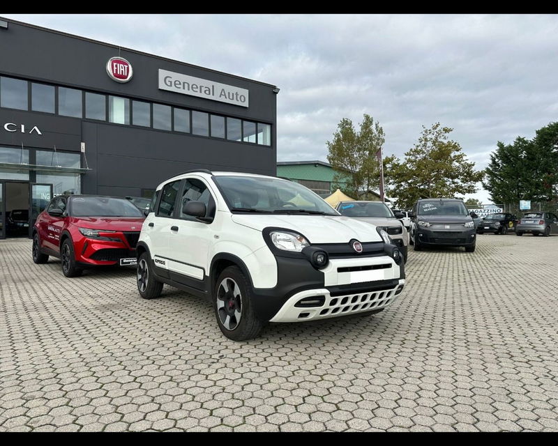 Fiat Panda 1.2 City Cross  del 2019 usata a Massarosa