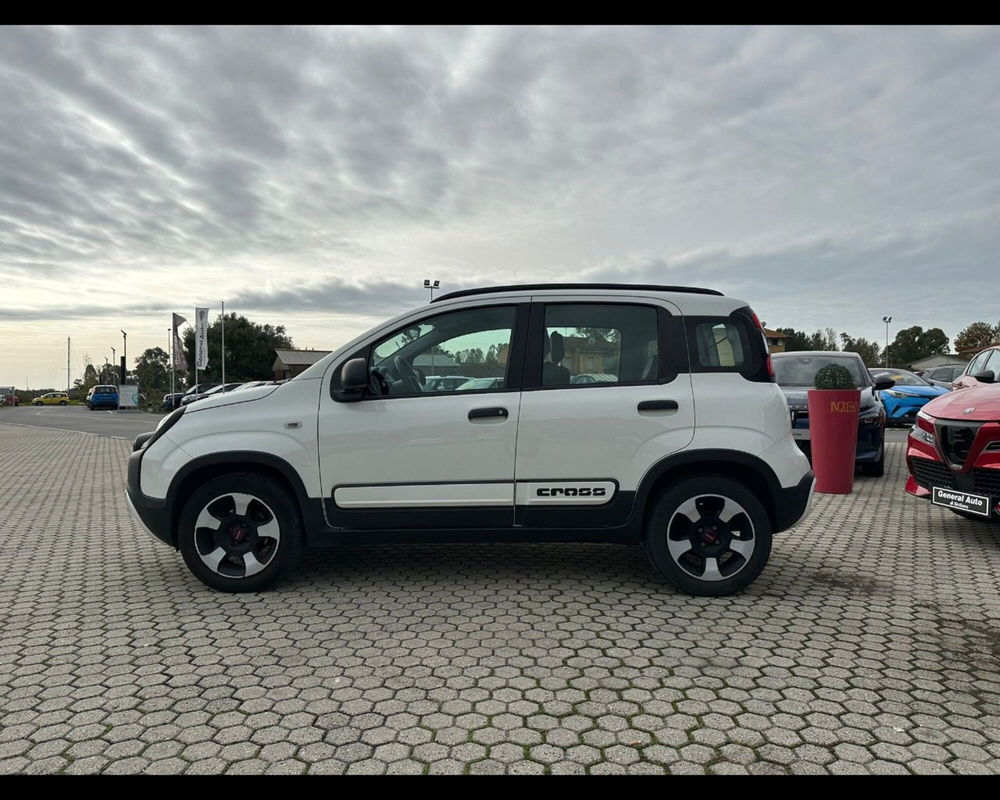 Fiat Panda usata a Lucca (4)