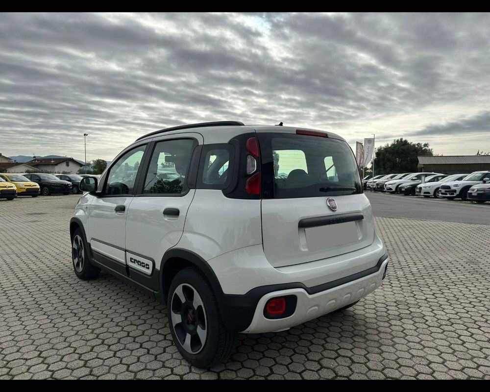 Fiat Panda usata a Lucca (5)