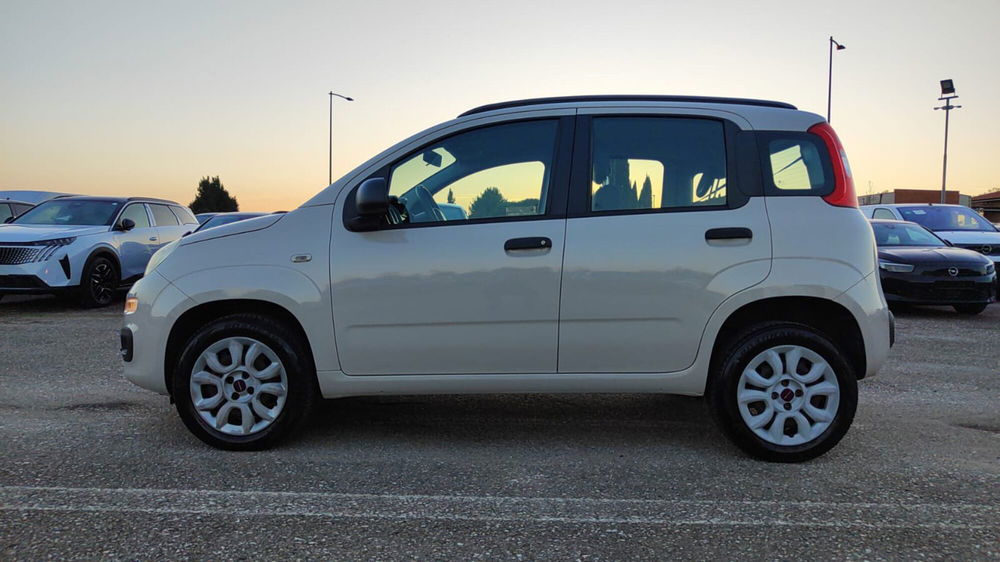 Fiat Panda usata a Firenze (3)