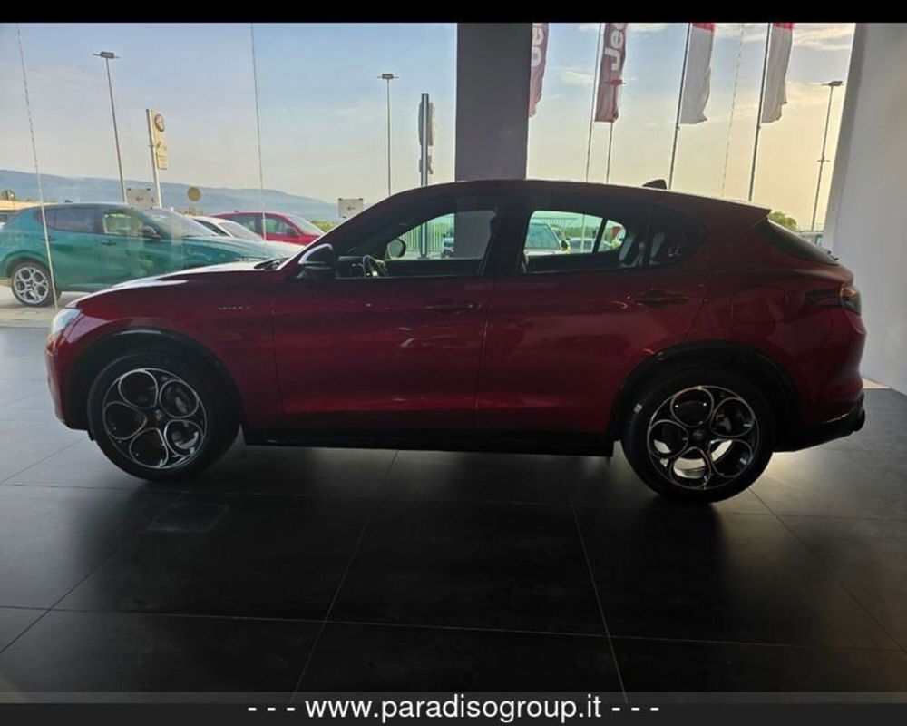 Alfa Romeo Stelvio nuova a Catanzaro (3)