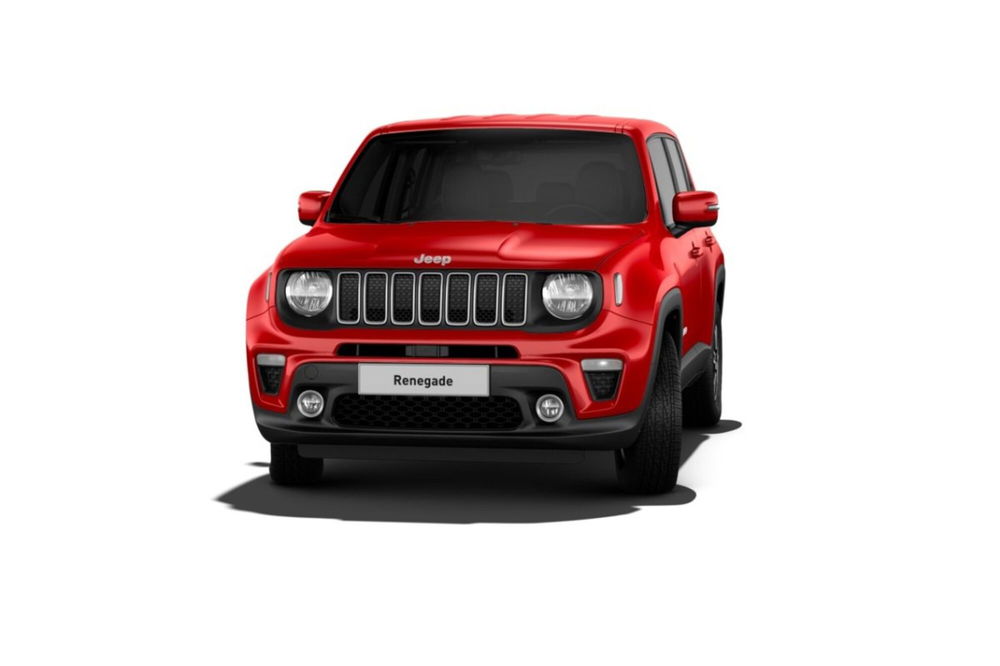 Jeep Renegade usata a Cosenza (10)