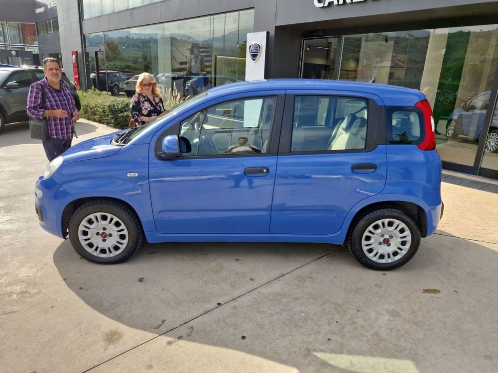 Fiat Panda usata a Cosenza (2)