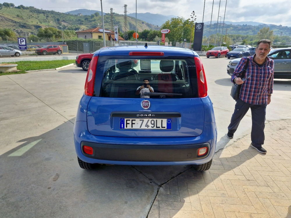 Fiat Panda usata a Cosenza (4)