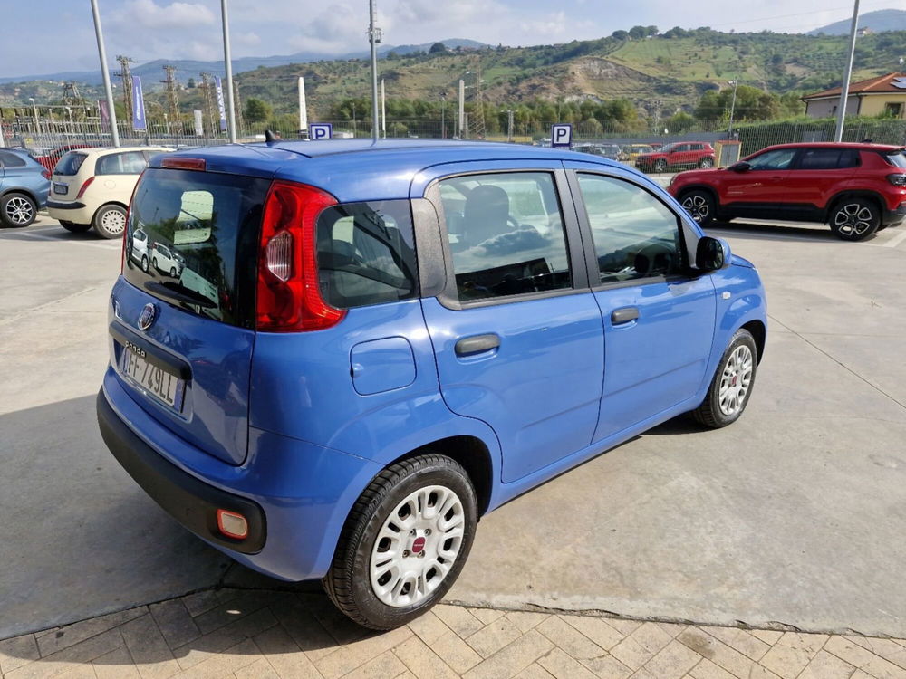 Fiat Panda usata a Cosenza (6)