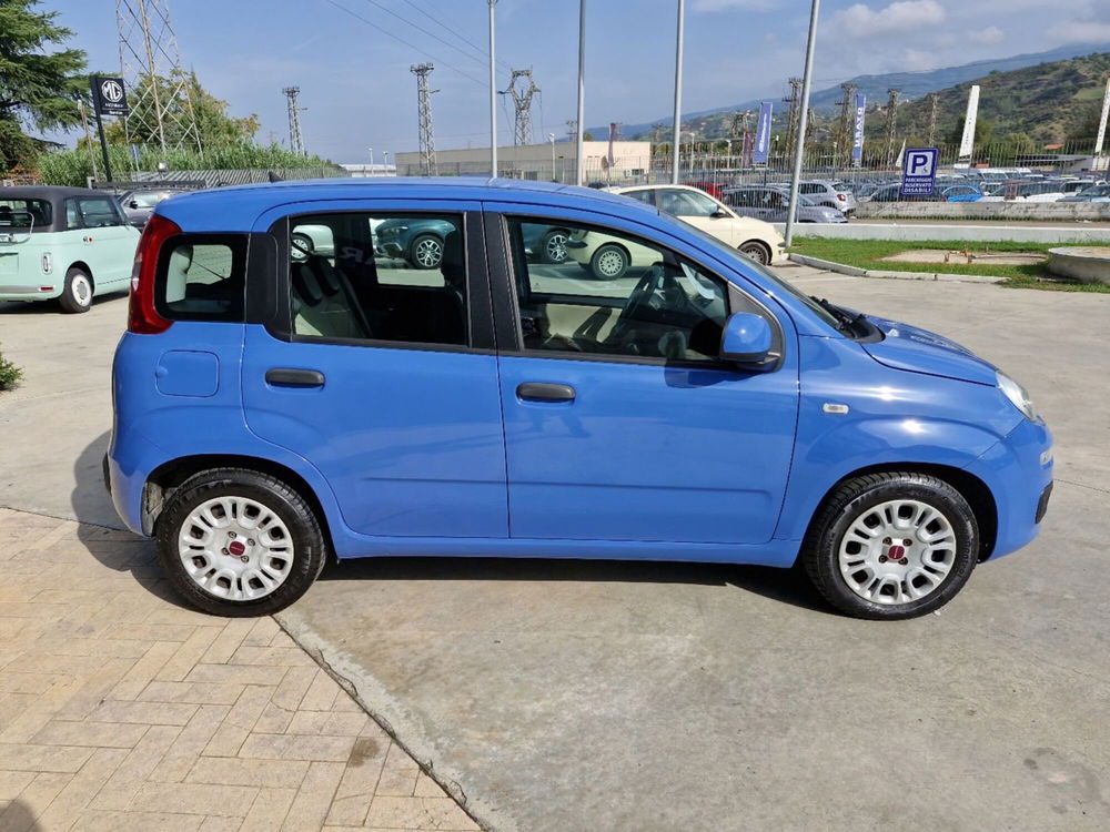 Fiat Panda usata a Cosenza (7)