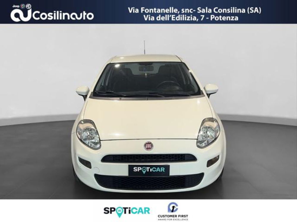 Fiat Punto usata a Salerno (8)