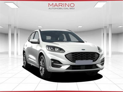 Ford Kuga 2.0 EcoBlue 120 CV aut. AWD ST-Line del 2023 usata a Bari