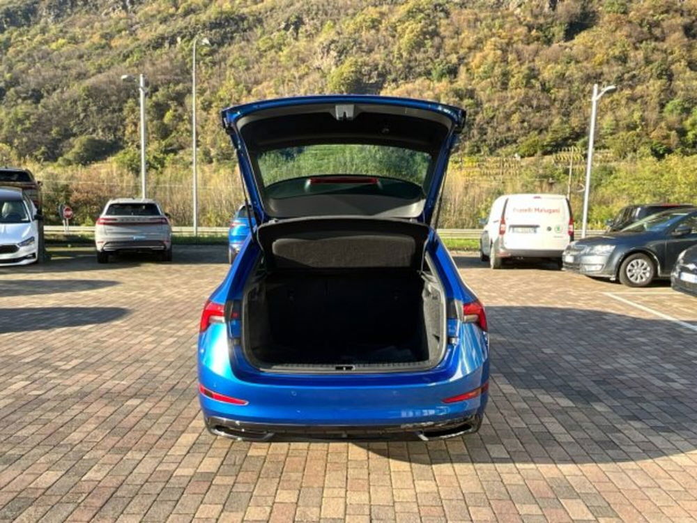 Skoda Scala usata a Sondrio (11)