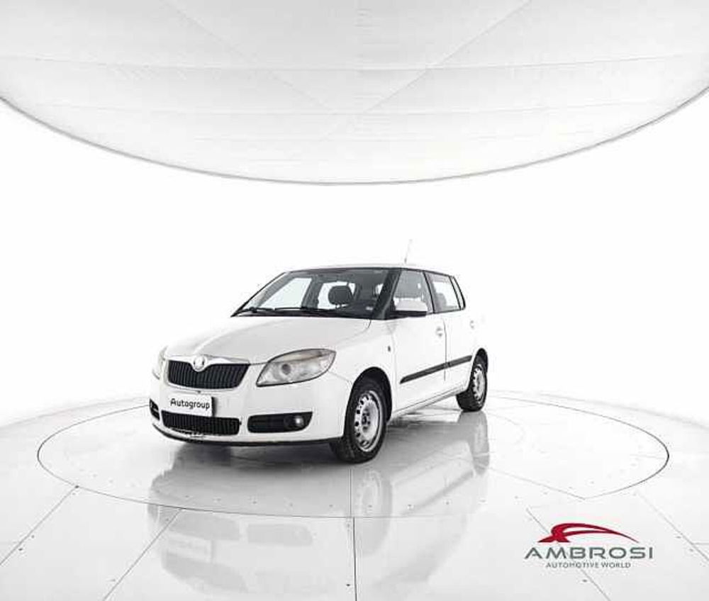 Skoda Fabia usata a Viterbo