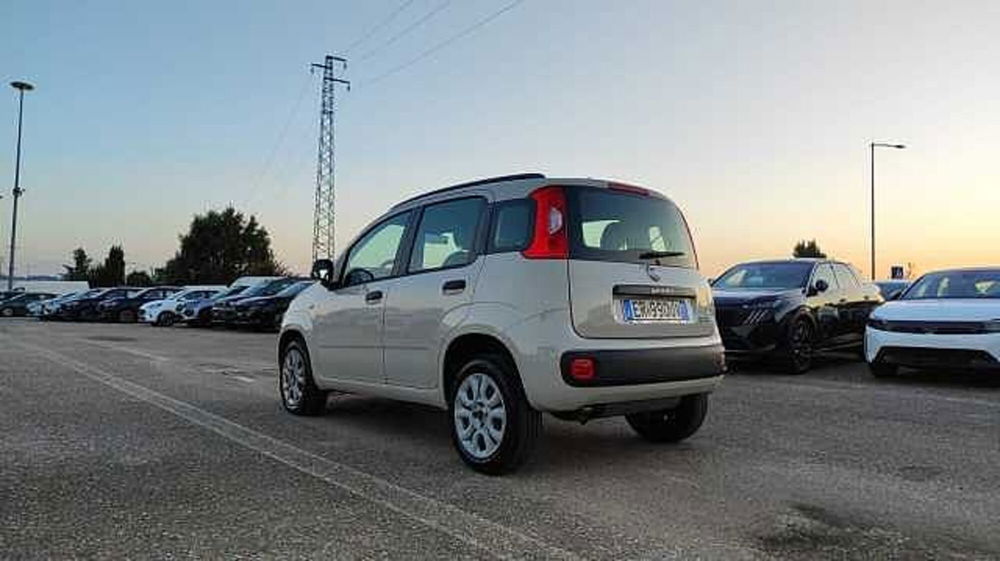 Fiat Panda usata a Firenze (6)