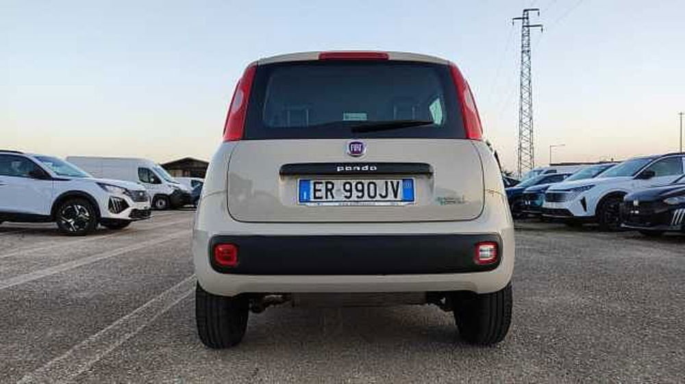 Fiat Panda usata a Firenze (7)