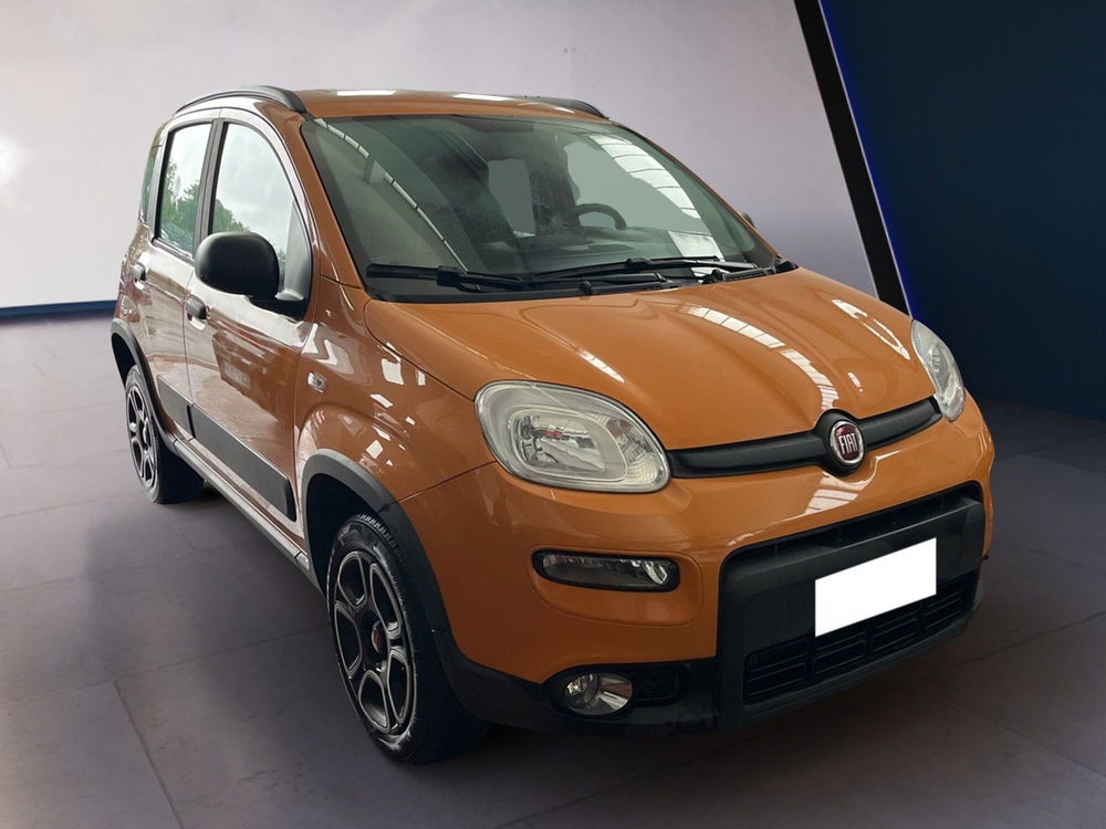 Fiat Panda usata a Torino (2)