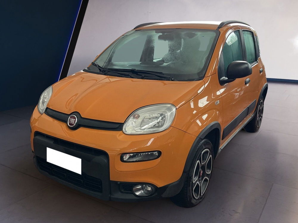 Fiat Panda usata a Torino (3)