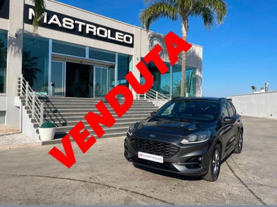 Ford Kuga 1.5 EcoBlue 120 CV aut. 2WD ST-Line X Design del 2022 usata a Tricase