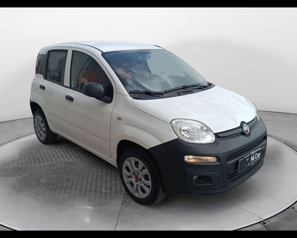 Fiat Panda usata a Caserta (4)