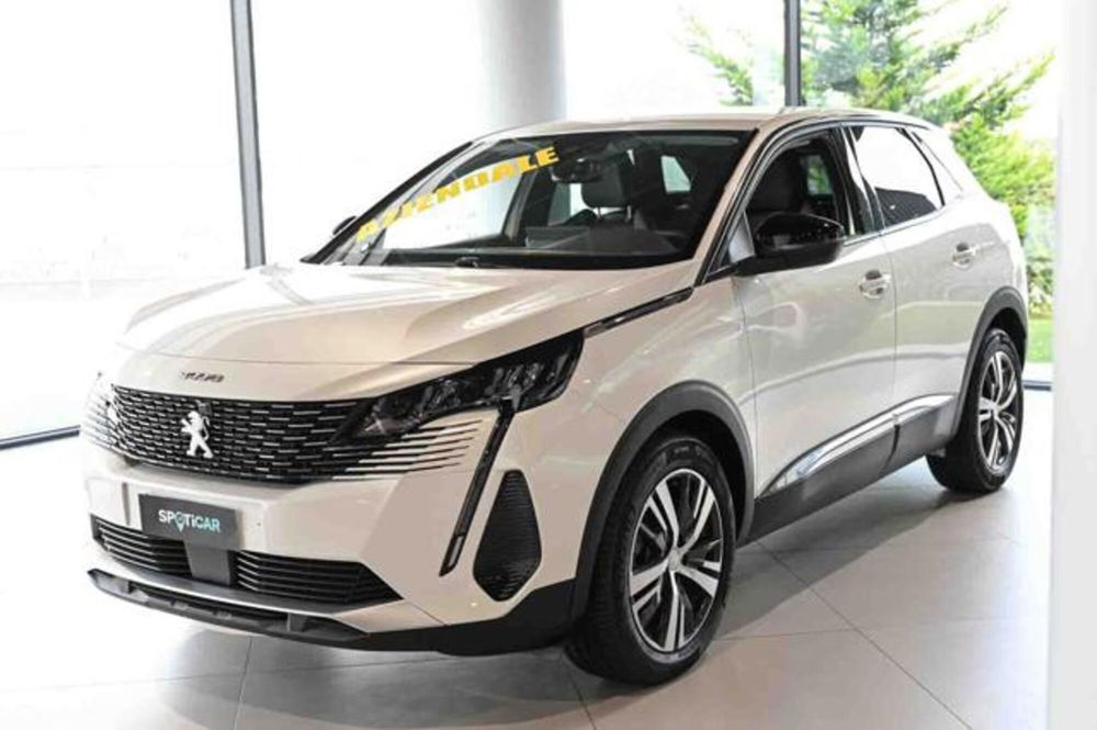 Peugeot 3008 usata a Torino (17)