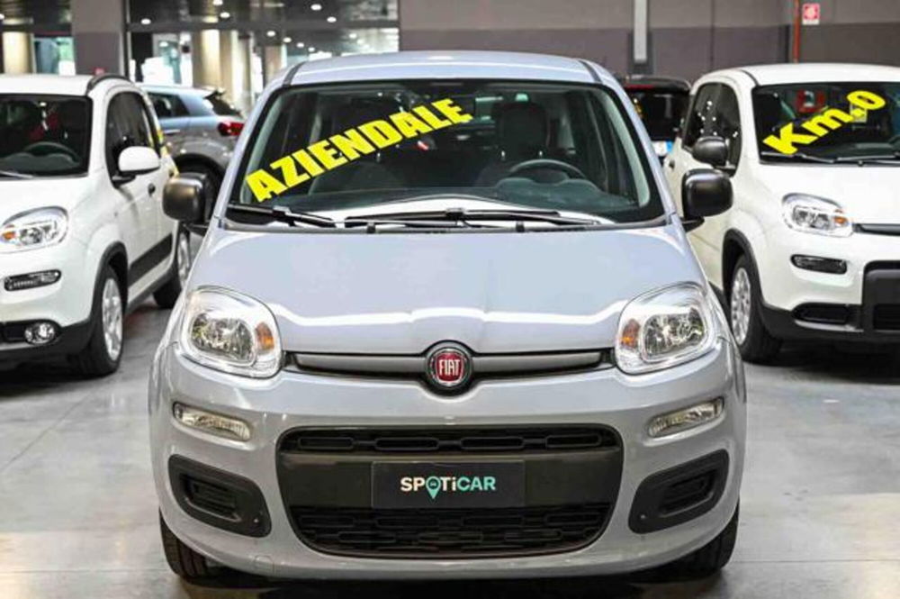 Fiat Panda usata a Torino (2)