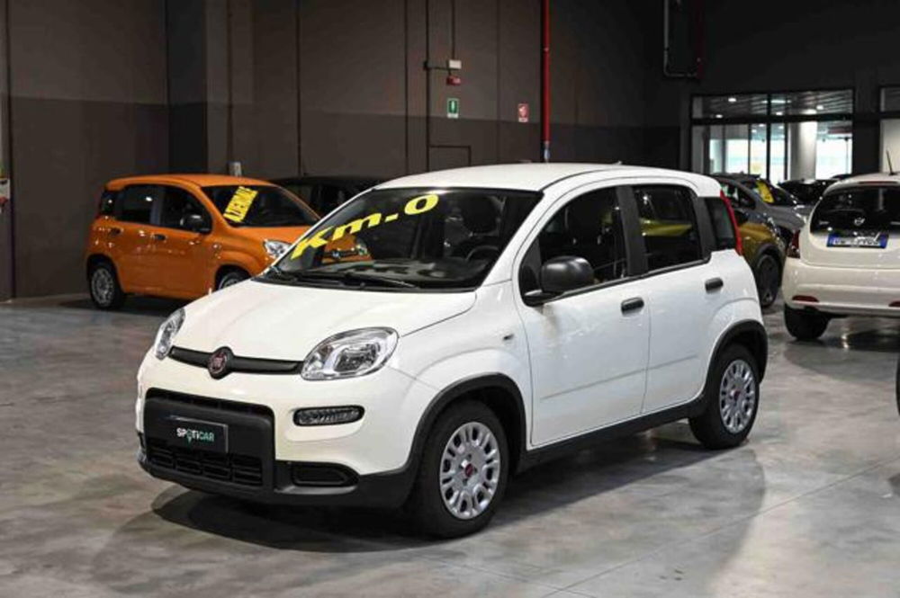 Fiat Panda nuova a Torino (19)