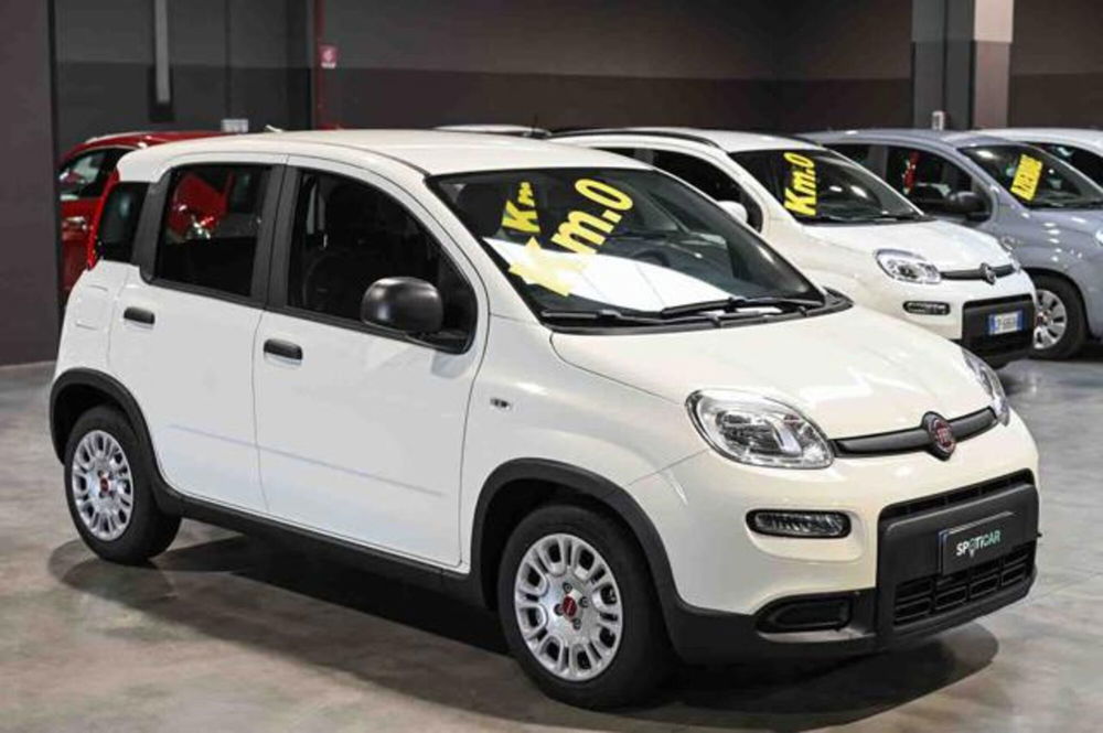 Fiat Panda nuova a Torino (2)