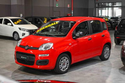 Fiat Panda 1.0 firefly hybrid s&amp;s 70cv 5p.ti del 2022 usata a Pianezza