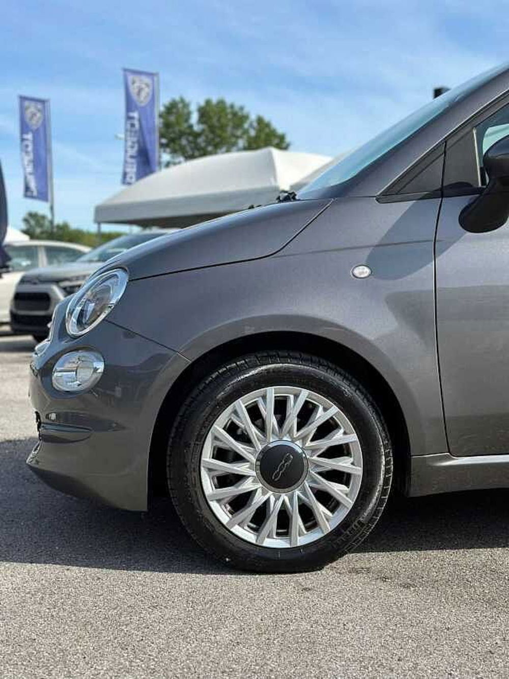 Fiat 500 usata a Venezia (2)