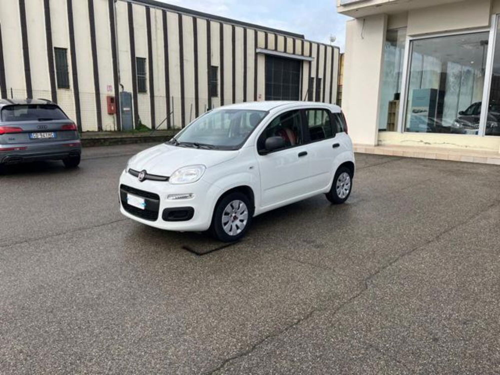 Fiat Panda usata a Firenze