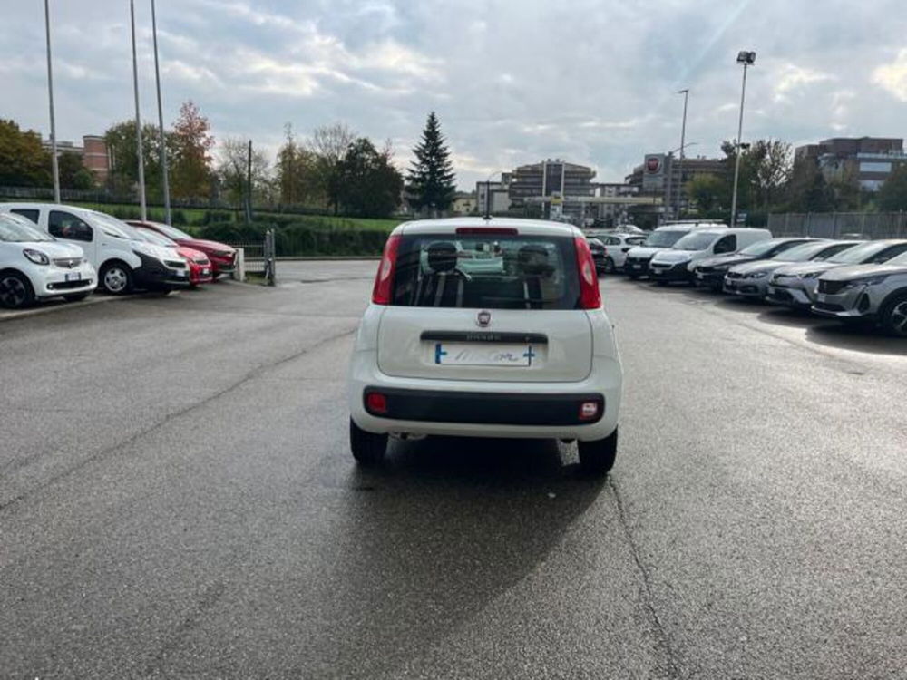 Fiat Panda usata a Firenze (5)