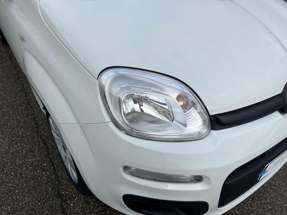 Fiat Panda usata a Firenze (7)