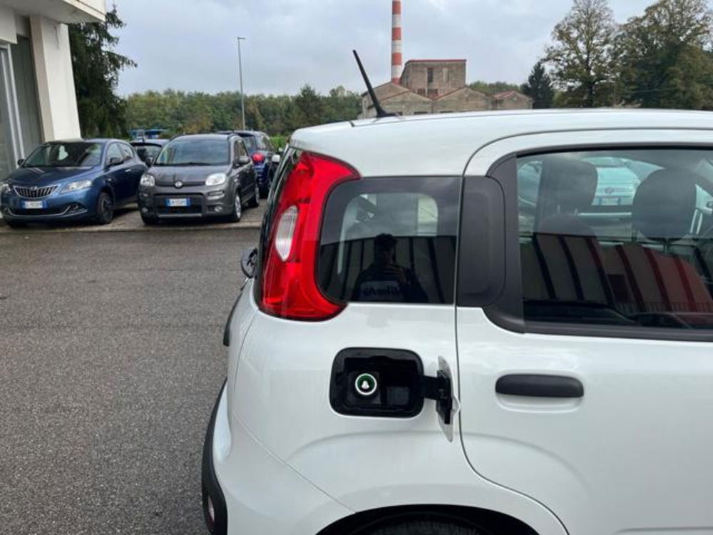 Fiat Panda usata a Firenze (9)