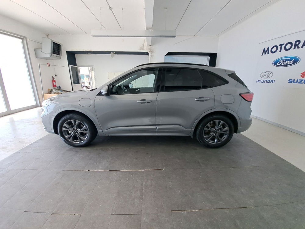 Ford Kuga usata a Arezzo (8)