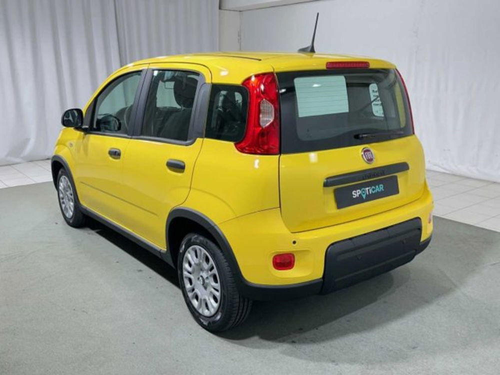 Fiat Panda nuova a Sondrio (3)