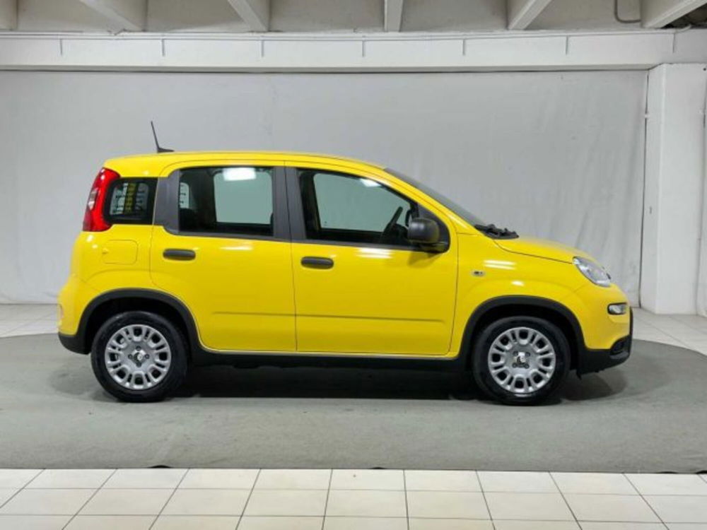 Fiat Panda nuova a Sondrio (6)