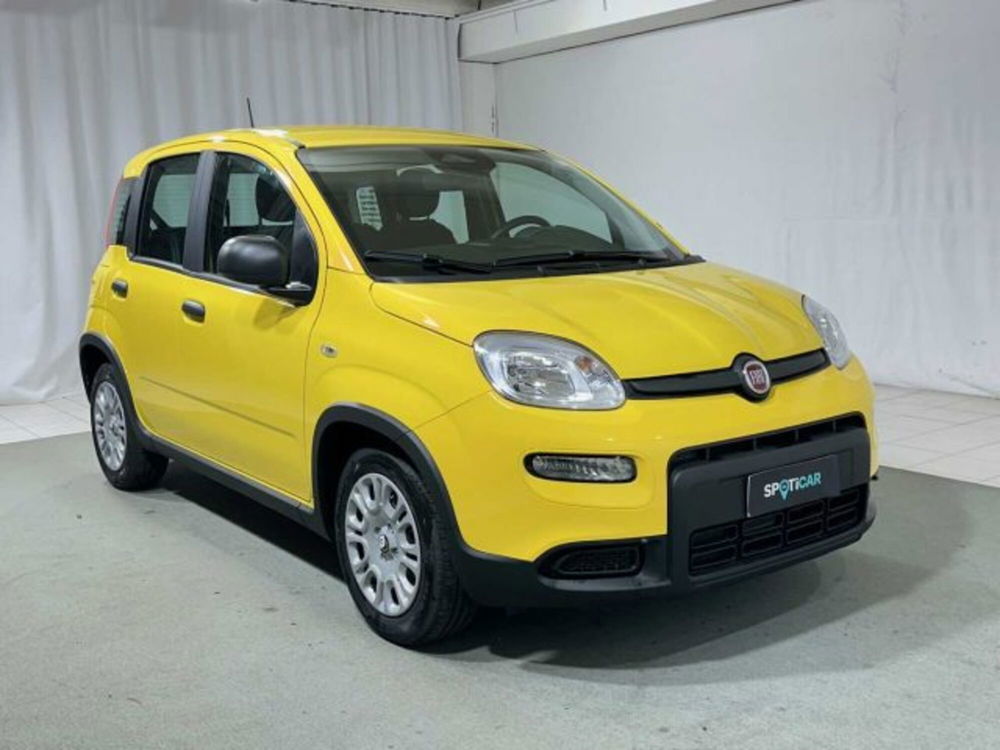 Fiat Panda nuova a Sondrio (7)